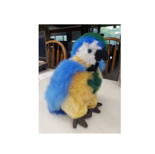 Blue Parrot toy header